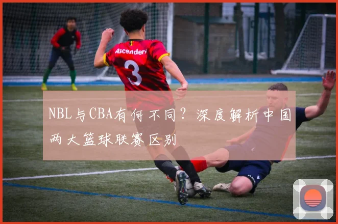 NBL与CBA有何不同？深度解析中国两大篮球联赛区别