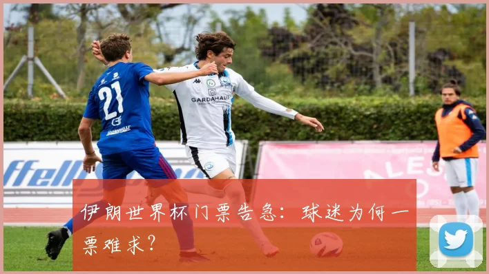 伊朗世界杯门票告急：球迷为何一票难求？